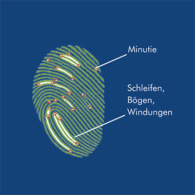 Wittkopp Fingerprint