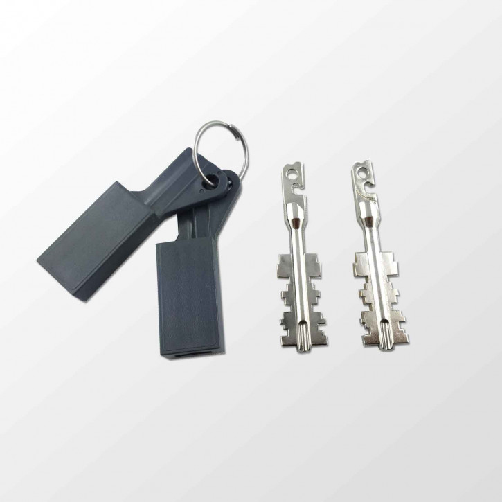 2er Satz Keybits für FAS / S&G - Sargent & Greenleaf, Schlüsselbart, Einhakunterende S&G 6880/ 6860/ 6890